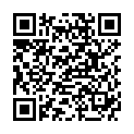 QR Вставка для груди FRAUPOW 17 мм.