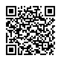 QR BALADE EN PROVENCE feste Haarseife Lavendel