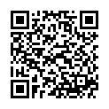 QR DAMASCENA Zitronenteebaum Äth/Öl Bio