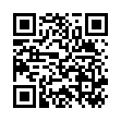 QR BEPPY Soft Comfort Tampons Dry