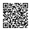 QR XILITO Birkenrindenextr Plv wild