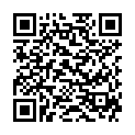 QR Одноразовые прокладки для кормления Avent Philips SCF254/24 24 шт.