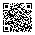 QR SPONSER High Energy Bar Apricot Vanilla
