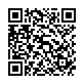 QR Перчатки Gribi пластиковые ПЭ 295мм мужские прозрачные в рубчик нестерильные 100 шт