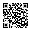 QR DIXA Wacholderbeeren BIO gebrochen getrocket