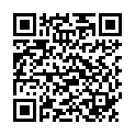 QR BORT 100 AG KKL2 II geschl norm schw Nopp