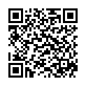 QR BORT 100 AG KKL2 II geschl w-k schw Nopp