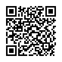 QR Amberstyle янтарь 32см Citrin Magnetversch