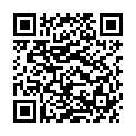 QR Amberstyle янтарь 32см Cogn Dunkel Magnetversch