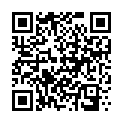 QR Solis Mini Straightener Ceramic Typ 87