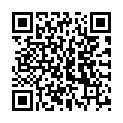 QR Assanis Tuechlein 12 штук