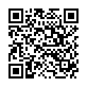 QR Herba Rundhaarburste Olivenholz